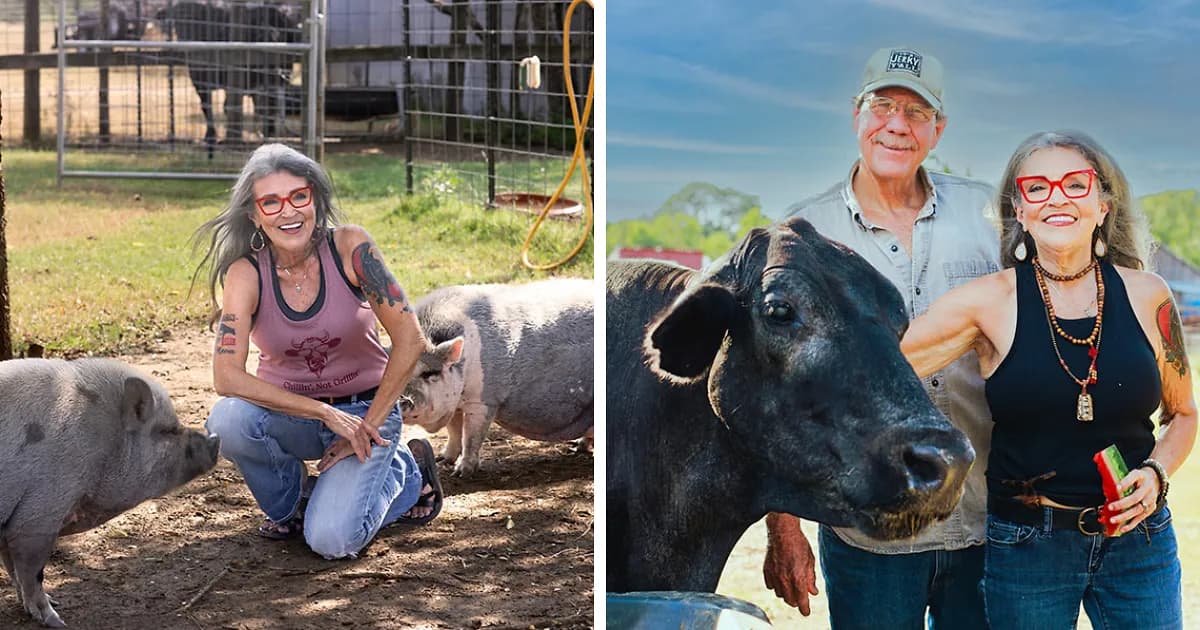 Vegan Wife Of Cattle Rancher Fights Husband To Turn His Farm Into A Sanctuary: "Those Cows Became Family"