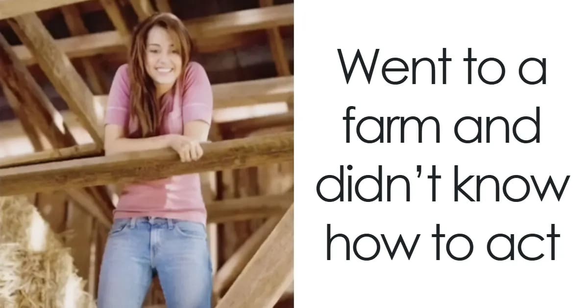 Unhinged 2000s Pop Culture Moments That Had No Business Being This Iconic