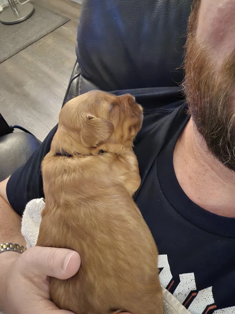I've been chosen!