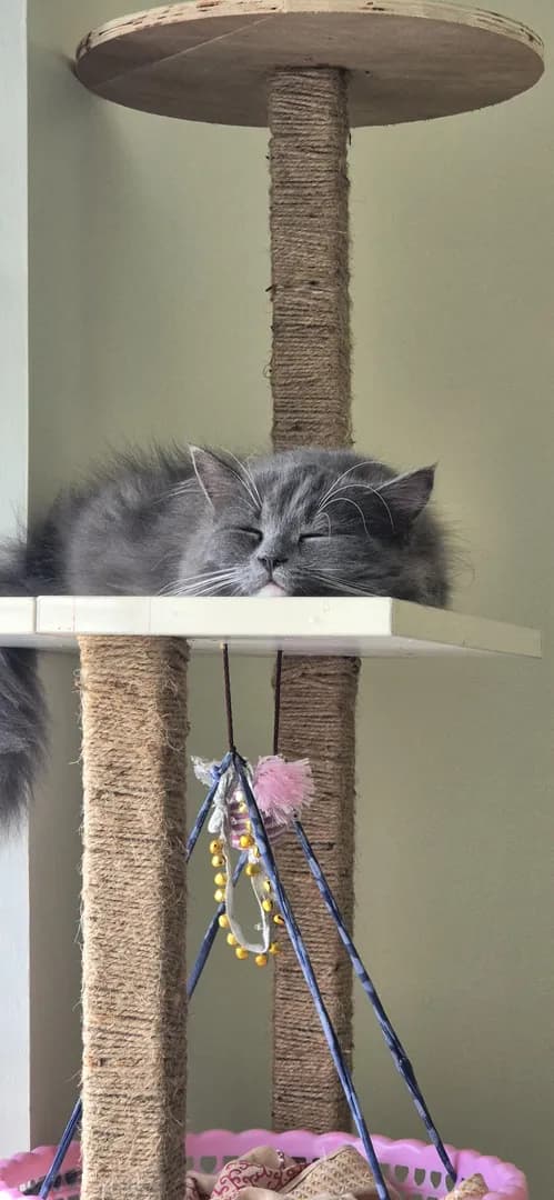 Just look at that face!