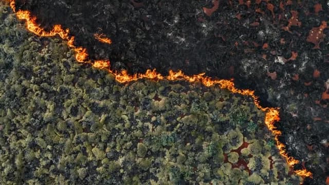 Senators demand crackdown on wildfire “prediction market” bets | Fire experts warn such markets could incentivize arson.