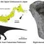 Small dinosaur fossil suggests Fukushima coast hosted iguanodontians of different sizes