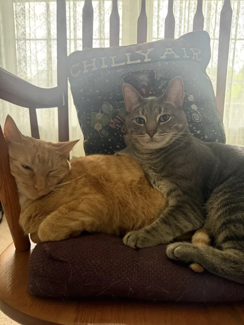 Best friends 🥺