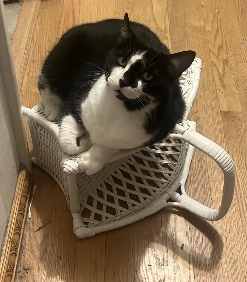 “Feed me, Mother.”