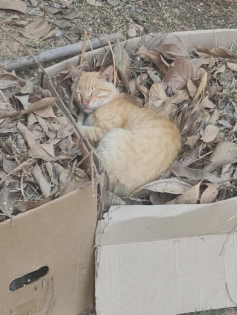 I found it asleep
