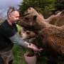 Camels find unlikely home in outback Australia
