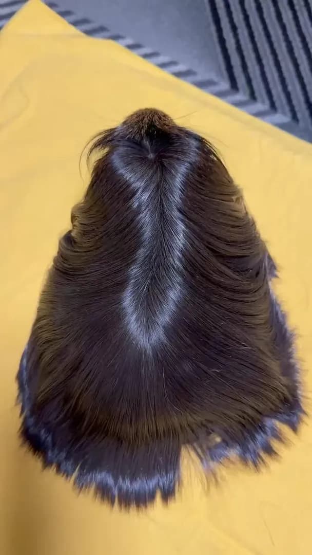 A peruvian long haired guinea pig.