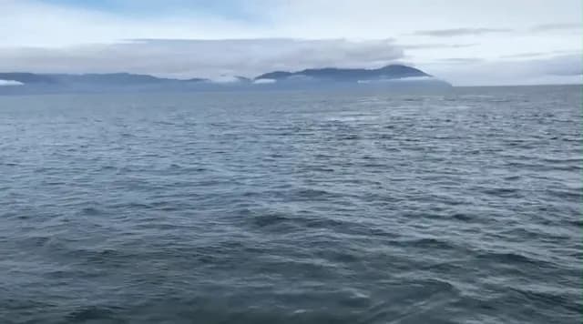 Humpback whale breaches close to boat