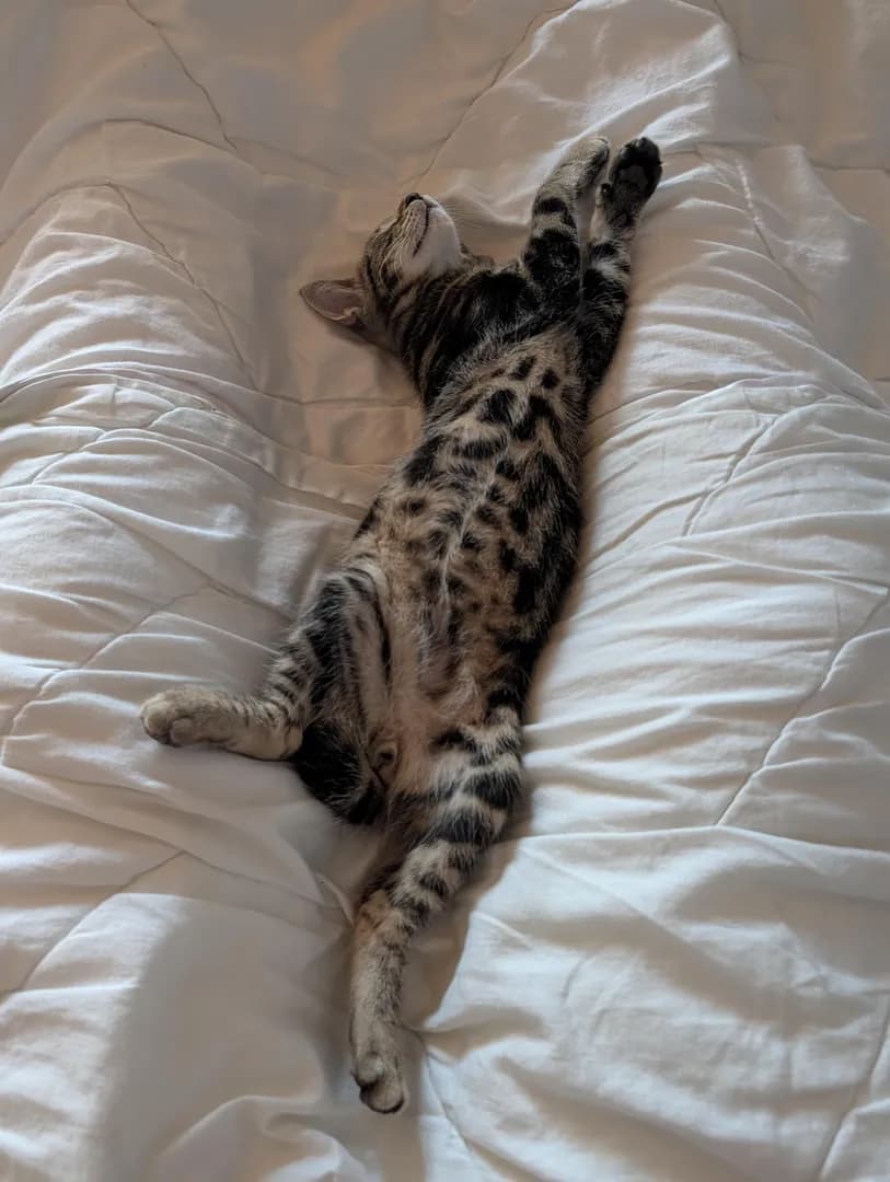 [OC] I just know he is sleeping GOOD