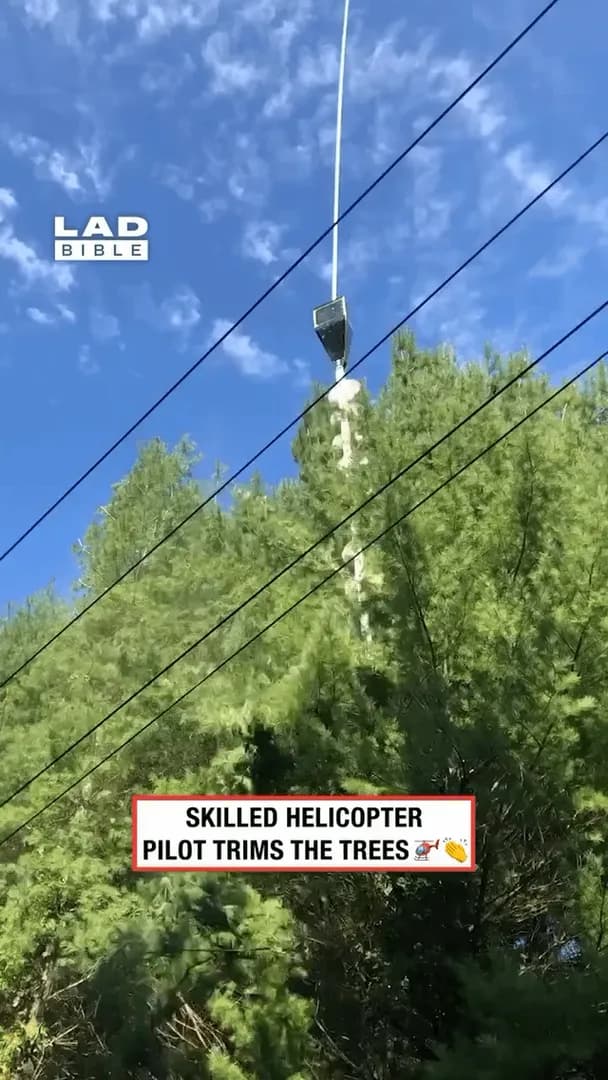 Helicopters equipped with aerial saws trim trees near power lines and hard-to-reach areas. A long pole with multiple rotating circular blades lets pilots cut branches with incredible precision while s