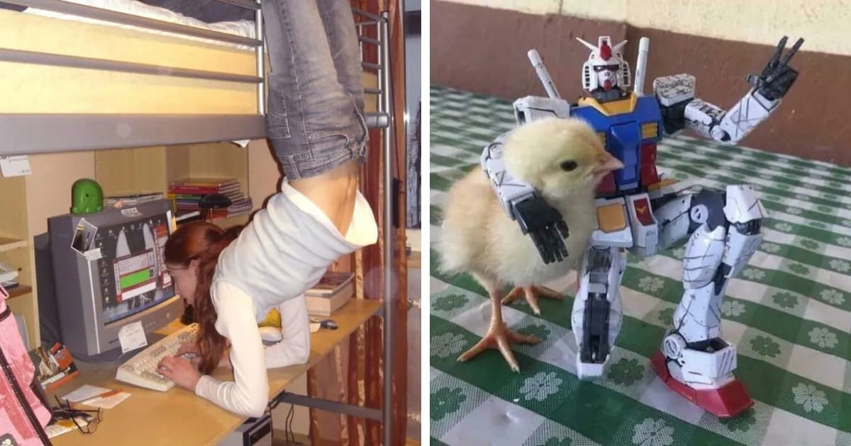 66 Photos Of Peculiar Things People Spotted In Real Life And Then Shared Online (New Pics)