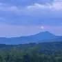 Hydraulic traits reveal why some mountain trees move uphill while others shift downhill