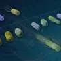 New platform speeds bacterial gene mapping for better biotech design