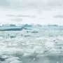 Oil dispersants reshape Arctic sea-ice microbes but do not markedly accelerate oil breakdown