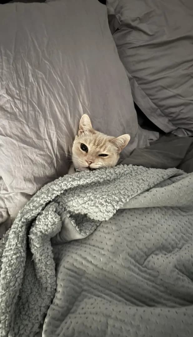 Do I have to get up 😩