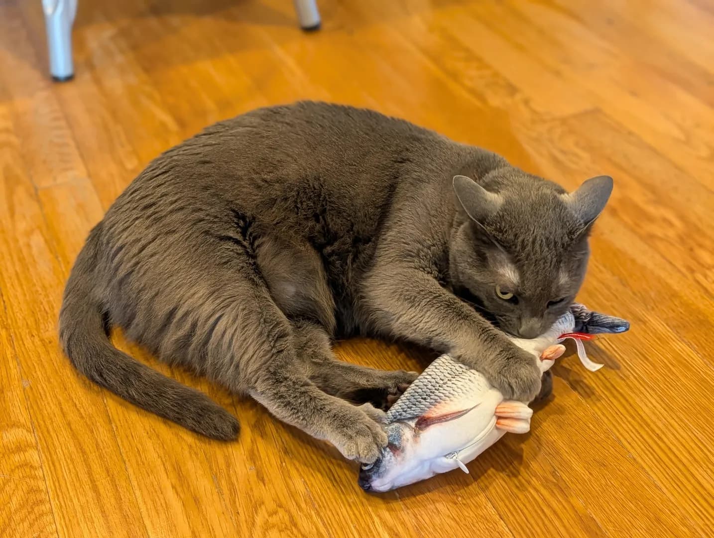 It's her 6th birthday and she's loving her new gift!