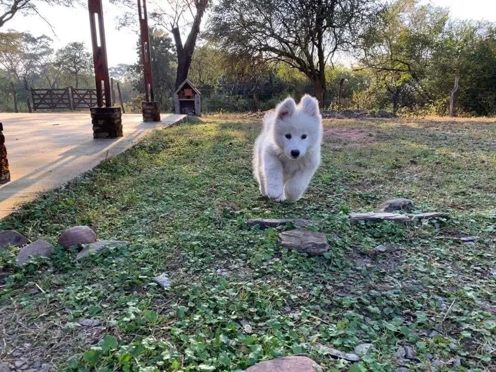 He’s coming for you!