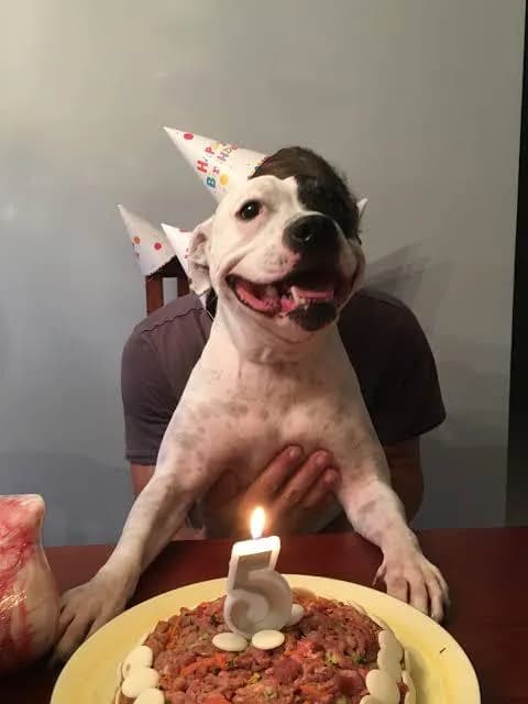 Billy's 5th birthday