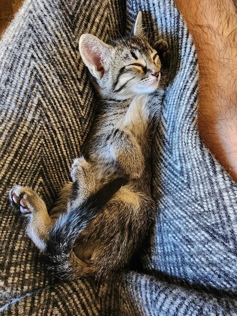 Caught snoozing!