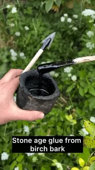 How Neanderthals made the world’s first synthetic glue, strong and reusable, 200,000 years ago.