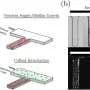 Using salt to drive drug-carrying particles deeper into difficult-to-treat biofilms