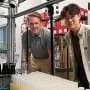 Corn-stalk sugars feed new bacterial strain designed to make useful chemicals