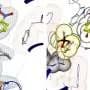 Engineered enzymes forge carbon-carbon and carbon-nitrogen bonds with high selectivity
