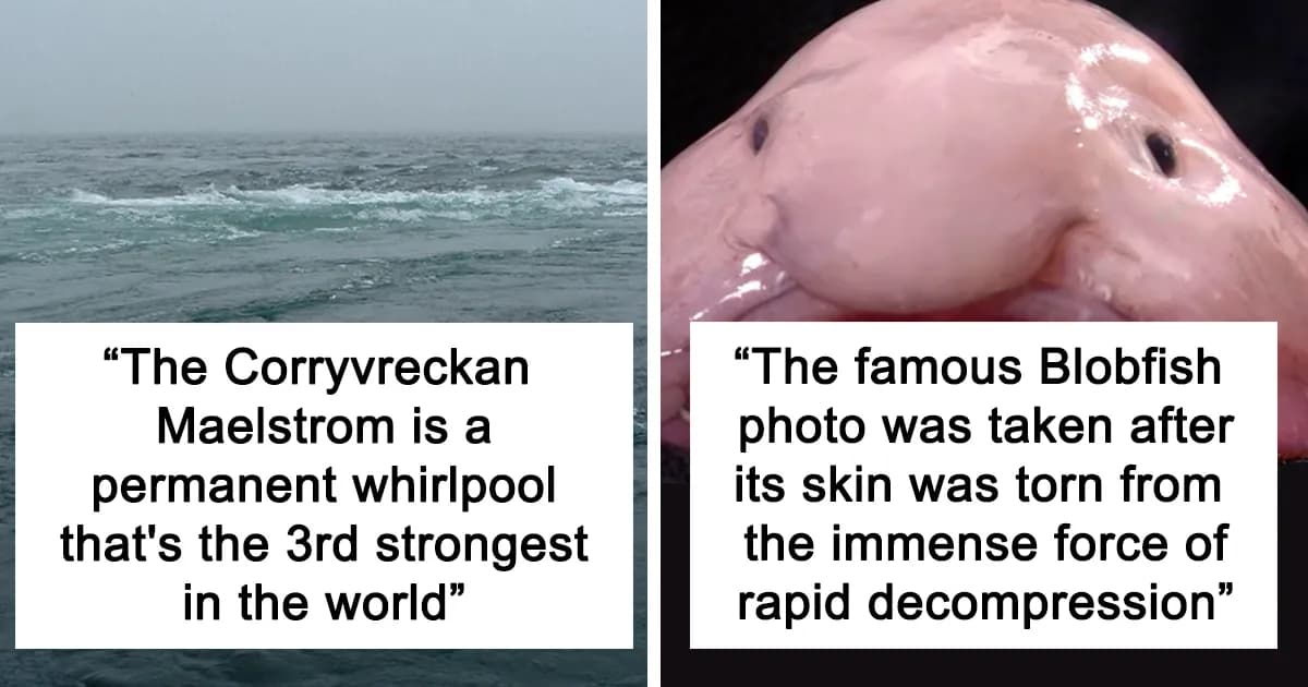 23 Fascinating, Weird Or Even Scary Facts About The Ocean