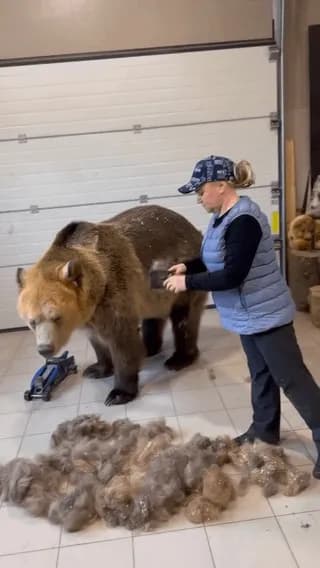 That’s a well groomed bear 🐻