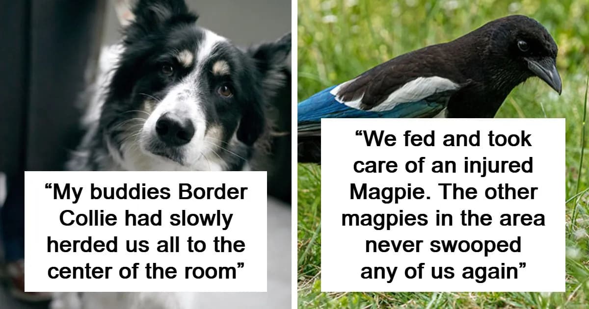 People Share The Creepiest Displays Of Intelligence They’ve Seen In Others