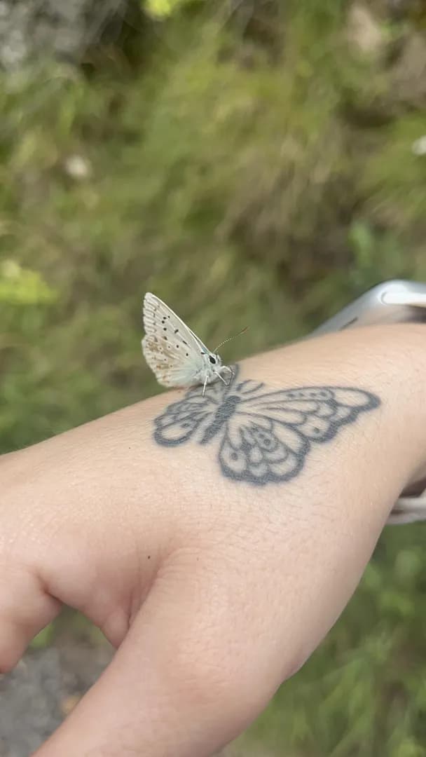 (OC) Look who landed on my tattoo :) ʚїɞ
