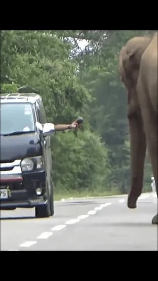 You better pay the toll fees next time!