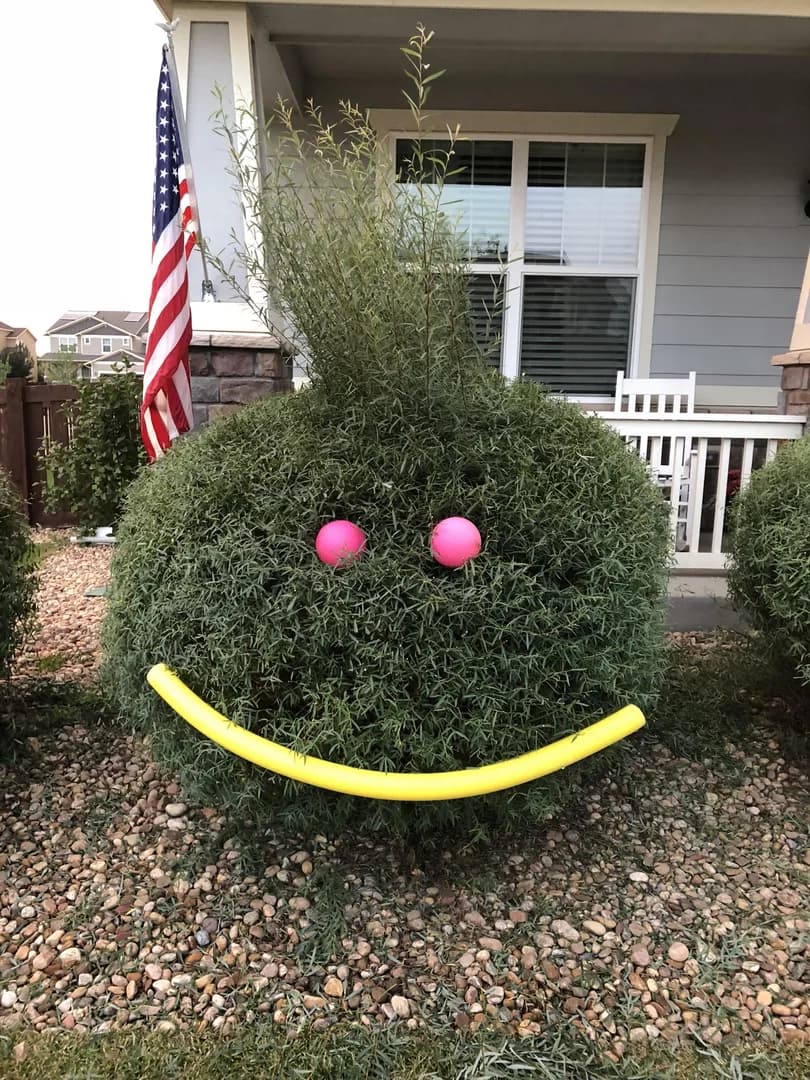 Had fun trimming the bushes this year