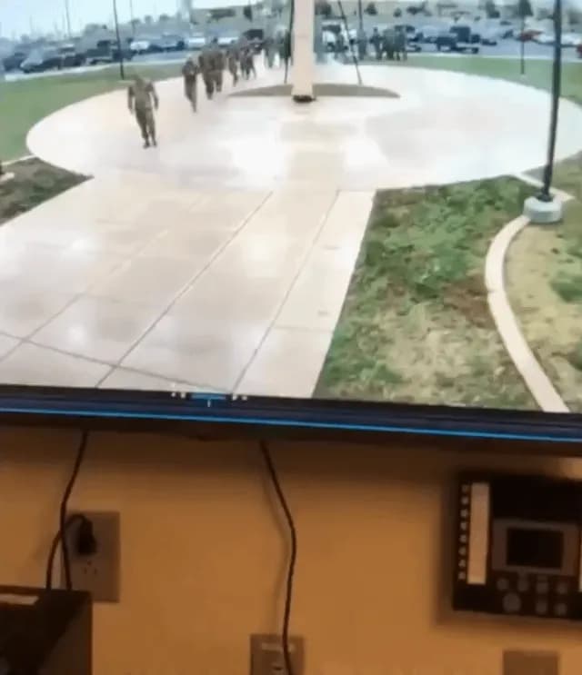 US military vs Goose!