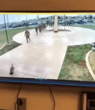 1 goose vs U.S military