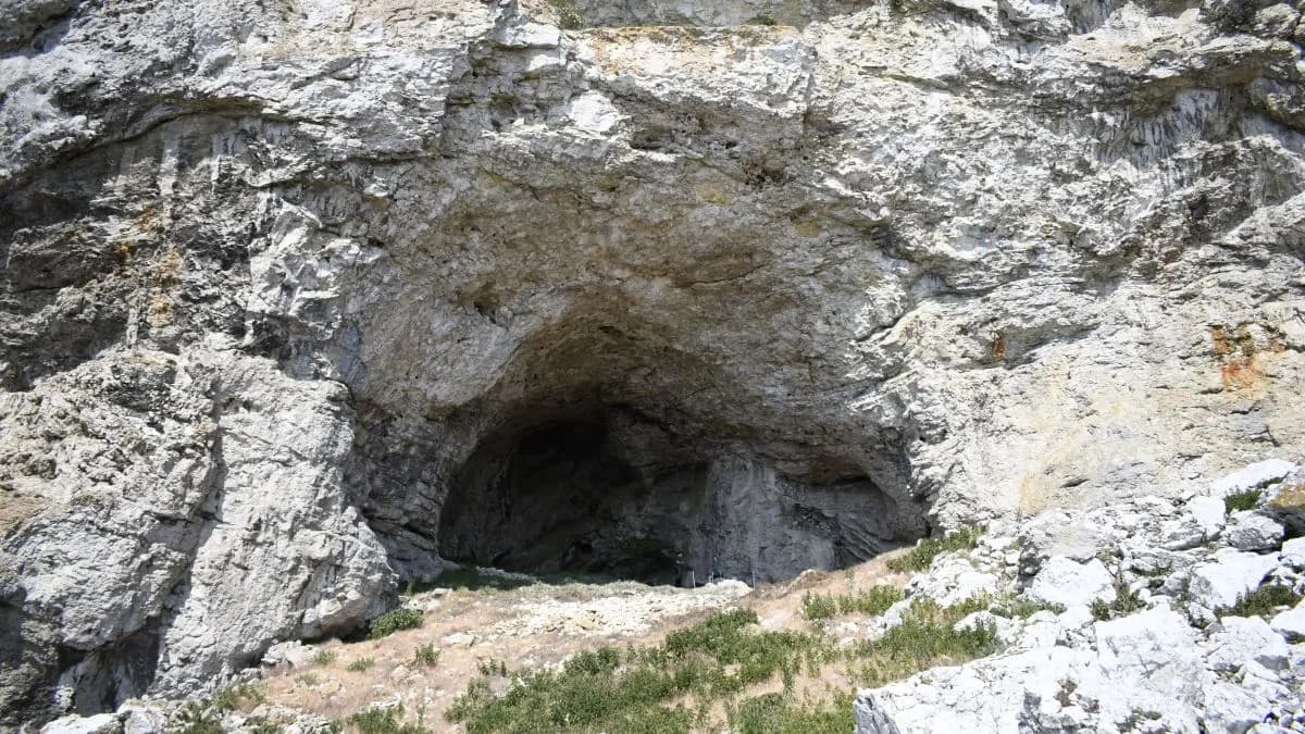 A Pregnant Teenager's 9,000-Year-Old Burial Was Just Uncovered in a Swedish Cave