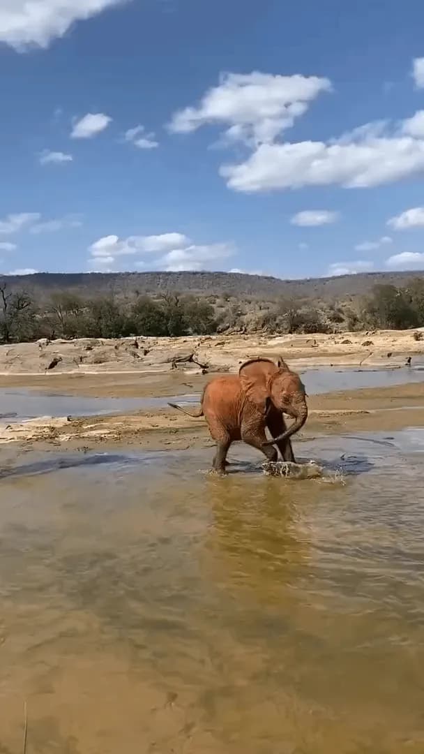 A much more satisfying kind of watersports