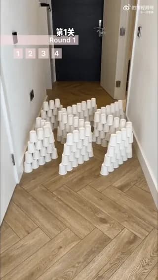 Crazy Cat Challenge