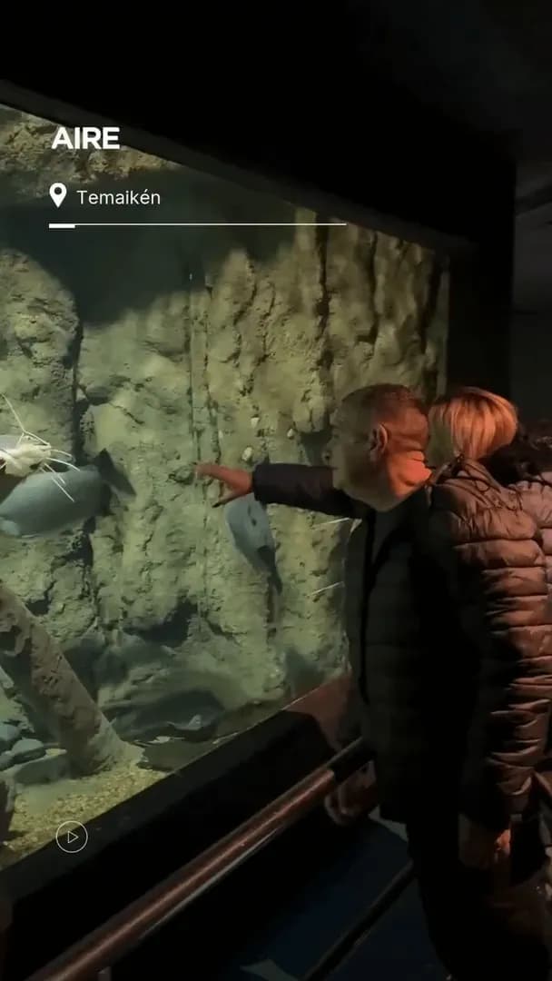 A man in Argentina sent his redtail catfish to an aquarium because it had got too big to take care of it himself. He visited the fish in the aquarium and the catfish recognized him