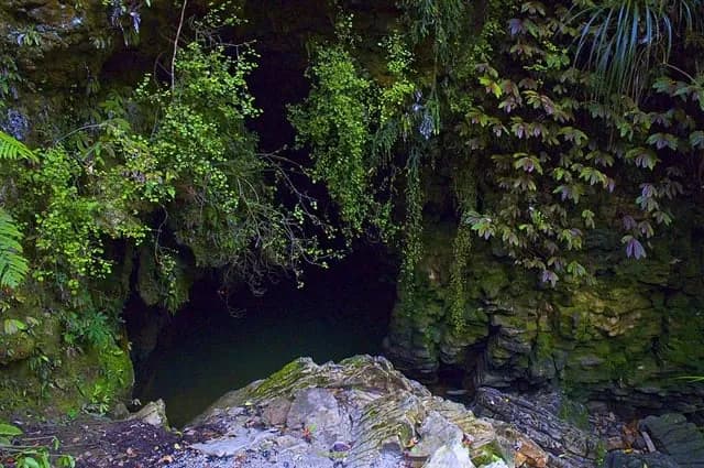 TIL that inside New Zealand’s Waitomo Cave, thousands of endemic glowworms cover the walls with pinpricks of light, giving the effect of an underground starry night.