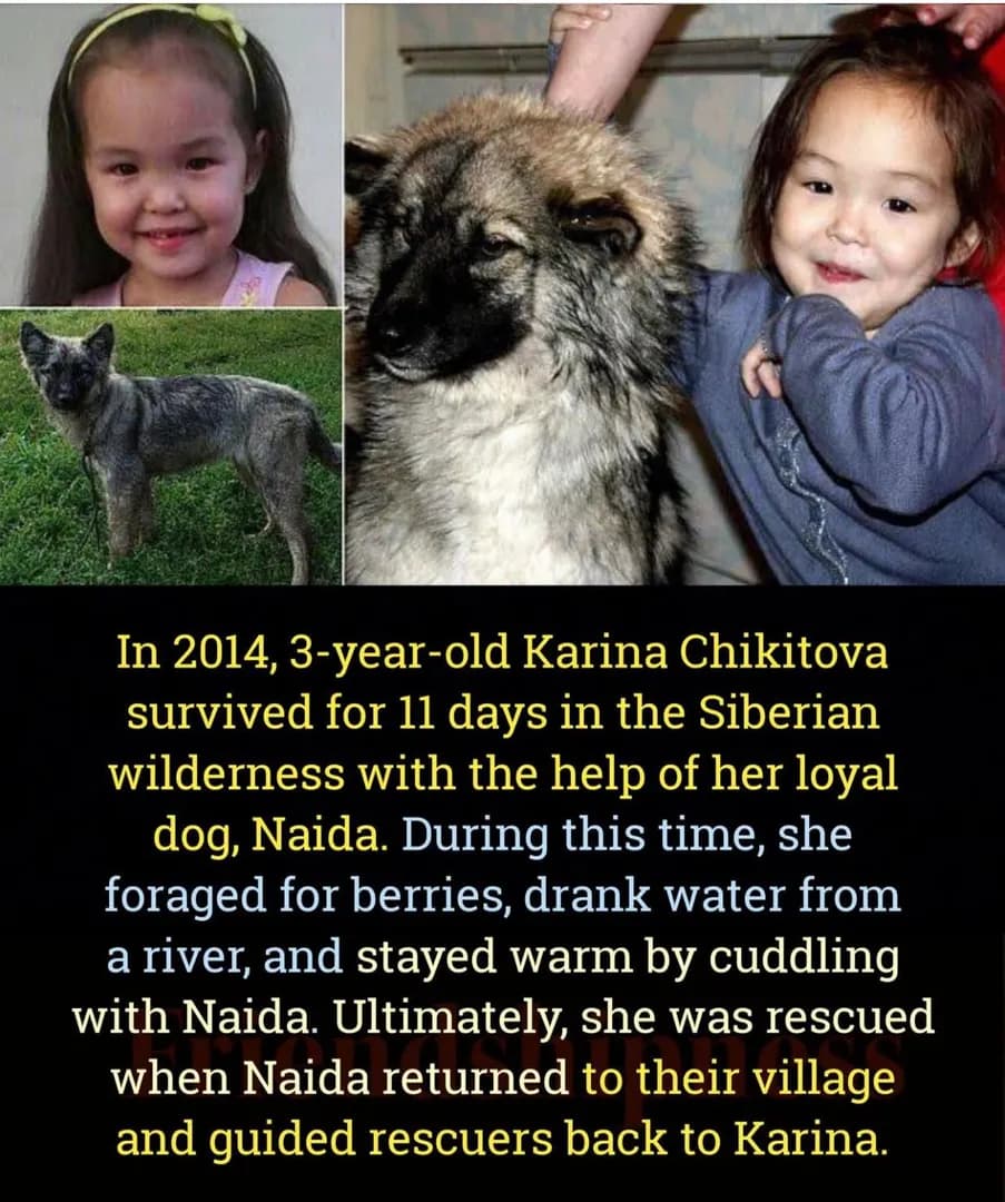 3-Year-Old Survives 11 Days Alone in the Siberian Wilderness.