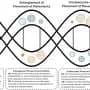 Online conflict may strengthen, not weaken, social movements, researchers find