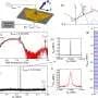 Spontaneous magnons synchronize with external signals at room temperature