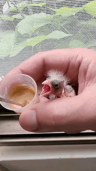 One bite, One happy dance!
