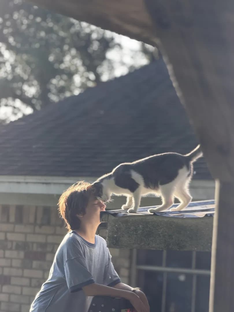 Had to “rescue” the kitty, but first, head butts.