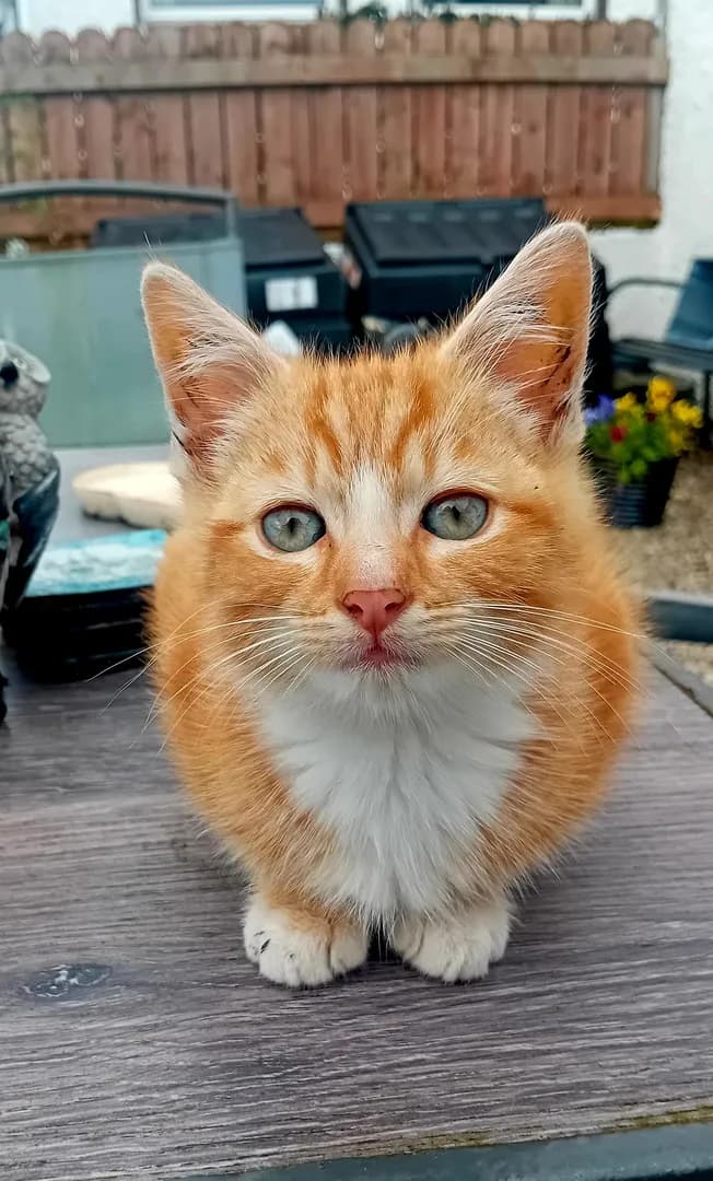 Rusty