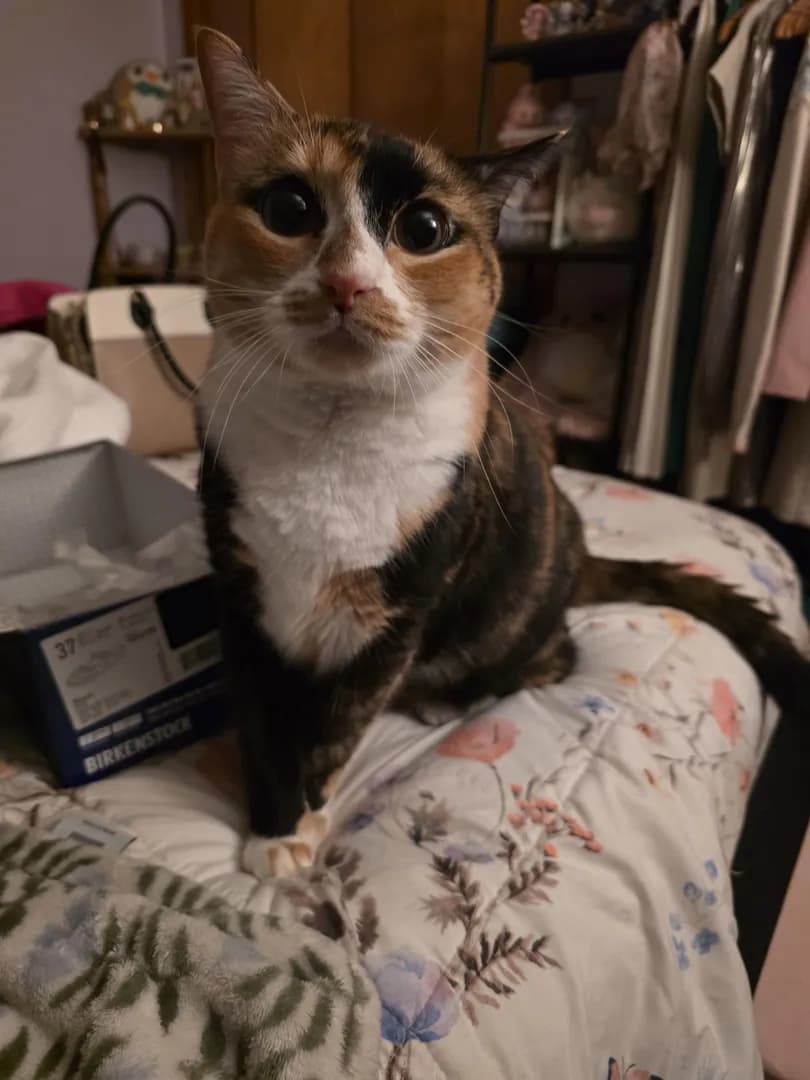 I came home after 5 days of being at the beach, look at her little face 🥹