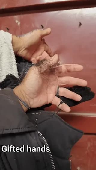 Art of hands