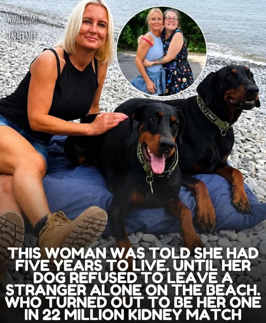 The dog that found its owner a lifesaving match.