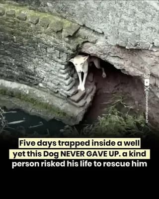 Humanity is still alive